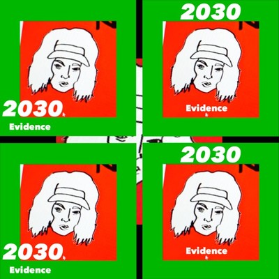 2030/Evidence