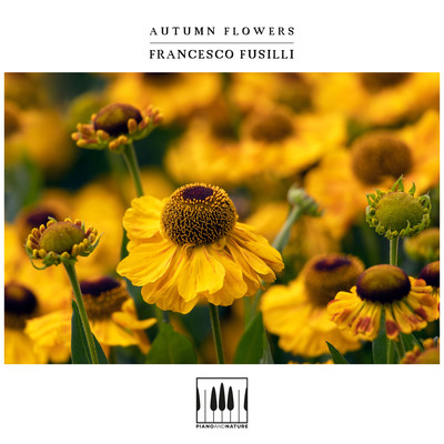 Autumn Flowers/Francesco Fusilli