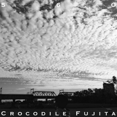 アルバム/560/Crocodile Fujita