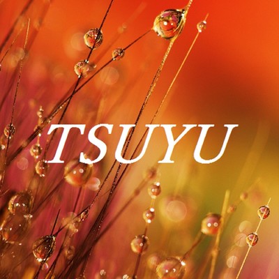 Tsuyuzamu/TandP