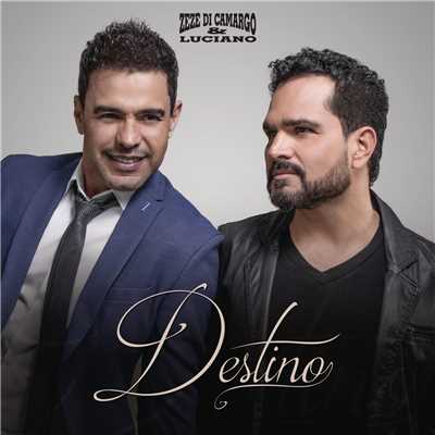 シングル/Destino/Zeze Di Camargo & Luciano