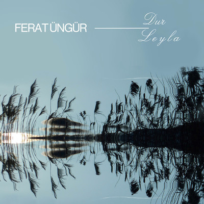 シングル/Dur Leyla/Ferat Ungur