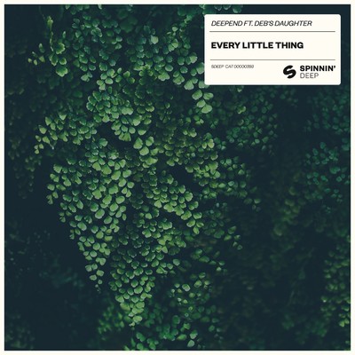 シングル/Every Little Thing (feat. Deb's Daughter) [Extended Mix]/Deepend