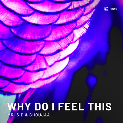 シングル/Why Do I Feel This (Extended Mix)/Mr. Sid & Choujaa