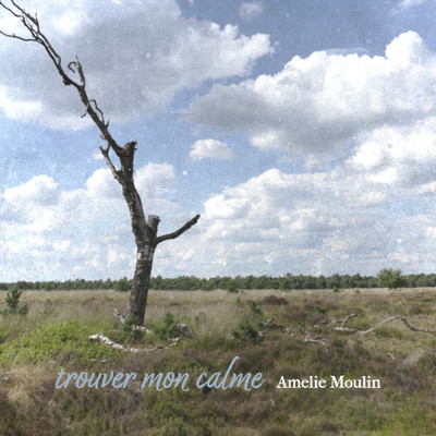 trouver mon calme/Amelie Moulin