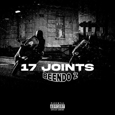 17 Joints/Beendo Z