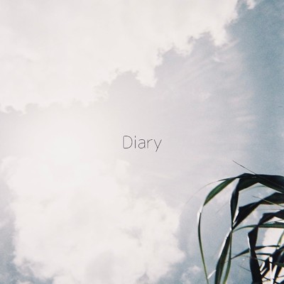 アルバム/Diary/NARUKAMICO