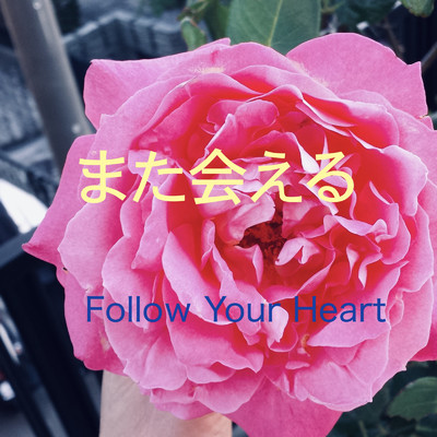 また会える/Follow Your Heart