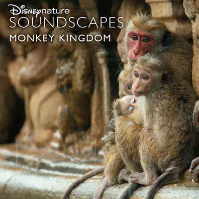 Polonnaruwa Temple South Asia Birds and Atmos (From ”Disneynature Soundscapes: Monkey Kingdom”)/ディズニーネイチャー サウンドスケープ