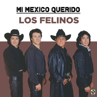 アルバム/Mi Mexico Querido/Los Felinos