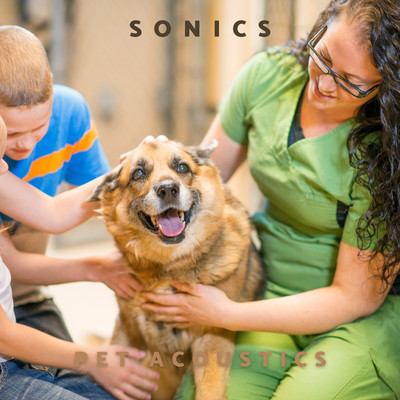 シングル/Sonics/Pet Acoustics