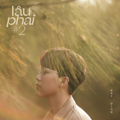 アルバム/lau phai #2/Kai Dinh