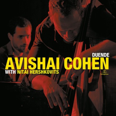 All of You/Avishai Cohen & Nitai Hershkovits