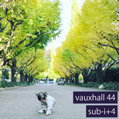 sub-i+4/vauxhall 44