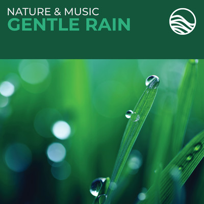 アルバム/Nature & Music: Gentle Rain/デヴィッド・アーカンストーン