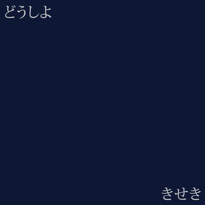 アルバム/どうしよ ／ きせき/NaNoMoRaL