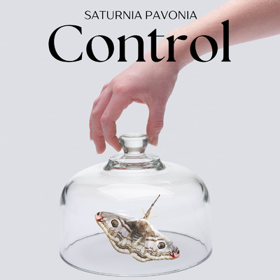 Saturnia Pavonia