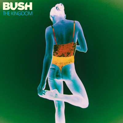 アルバム/The Kingdom/Bush