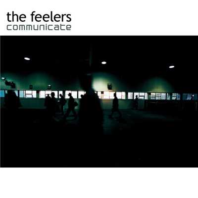 シングル/the web/the feelers