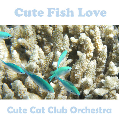 Cute Fish Love/Cute Cat Club Orchestra