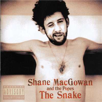 The Song With No Name (Explicit)/Shane MacGowan & The Popes