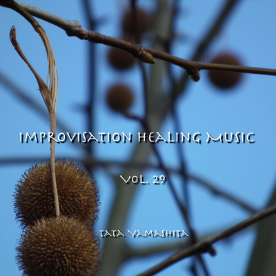 Improvisation Healing Music #254/Tata Yamashita