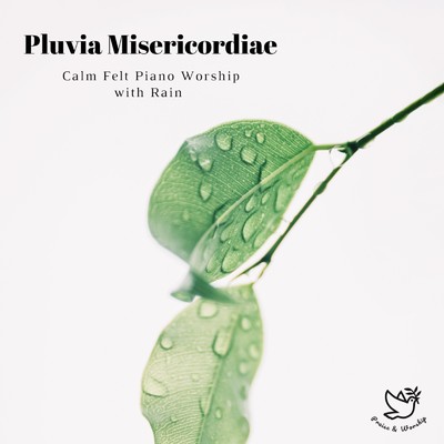 Pluvia Misericordiae -Calm Felt Piano Worship with Rain-/Praise & Worship