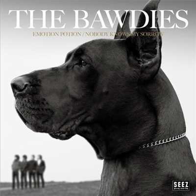 EMOTION POTION/THE BAWDIES