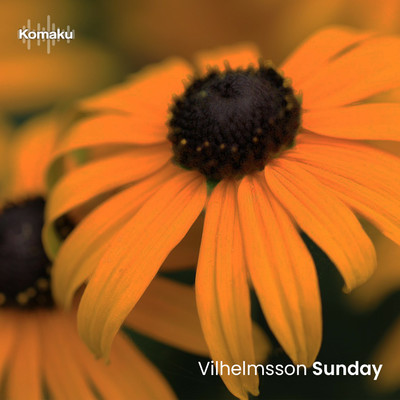 Sunday/Vilhelmsson