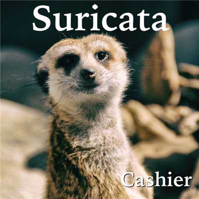 アルバム/Suricata/Cashier