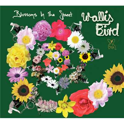 シングル/Blossoms In The Street (Radio Edit)/Wallis Bird