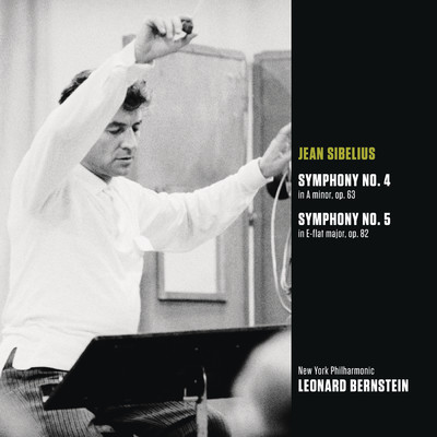 Symphony No. 5 in E-Flat Major, Op. 82: I. Tempo molto moderato/Leonard Bernstein