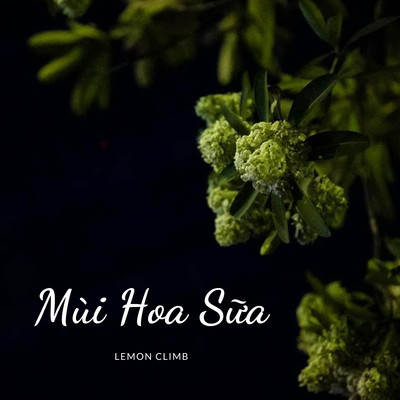 シングル/Mui Hoa Sua (Beat)/Lemon Climb