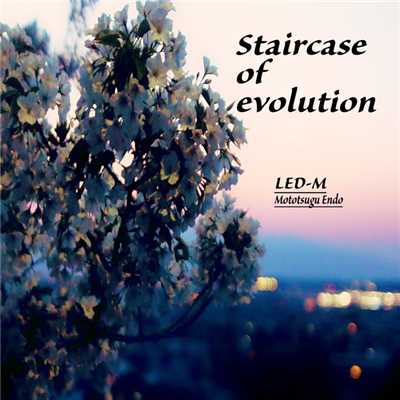 Staircase of evolution/LED-M