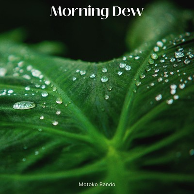 シングル/Morning Dew/Motoko Bando