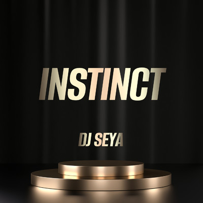 INSTINCT/DJ seya