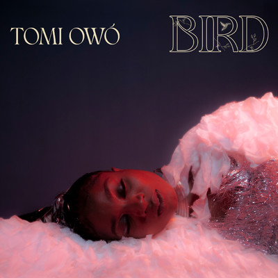 Bird/Tomi Owo