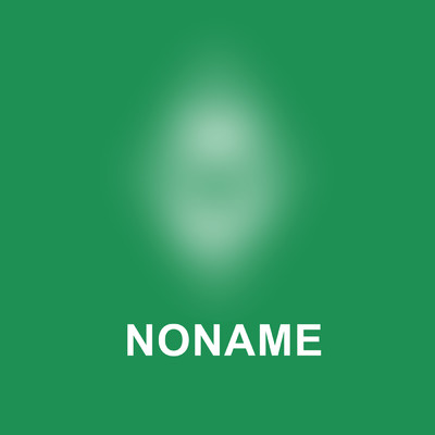 NONAME/Fler