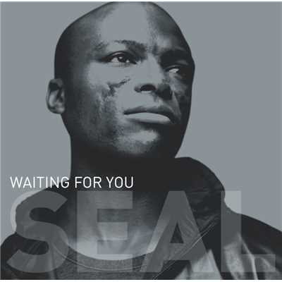 シングル/Waiting for You (29 Palms Remix Edit)/Seal