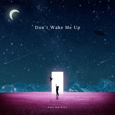 Don't Wake Me Up/Laus