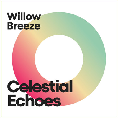 When You Went Away From Me/Willow Breeze