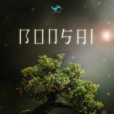 Bonsai/NS Records