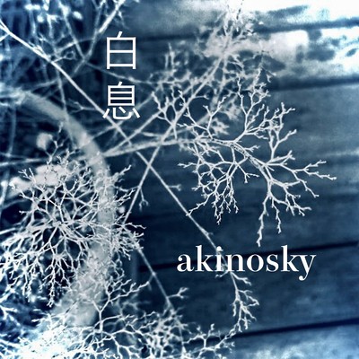 白息/akinosky