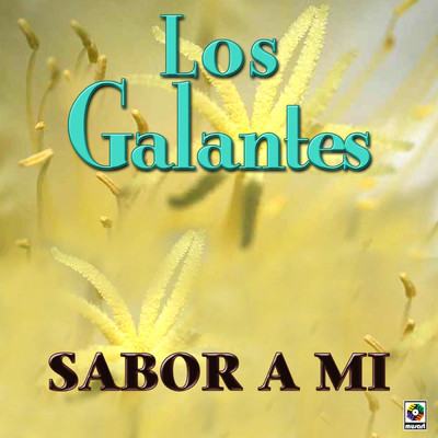 アルバム/Sabor A Mi/Los Galantes