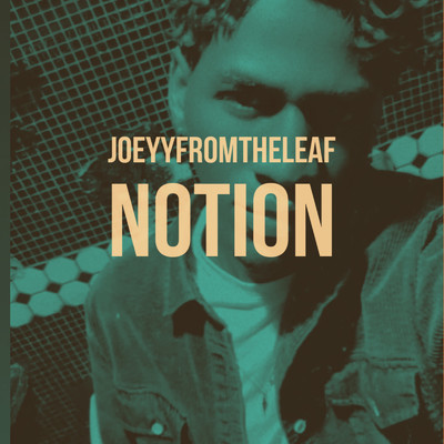 Notion/Joeyyfromtheleaf