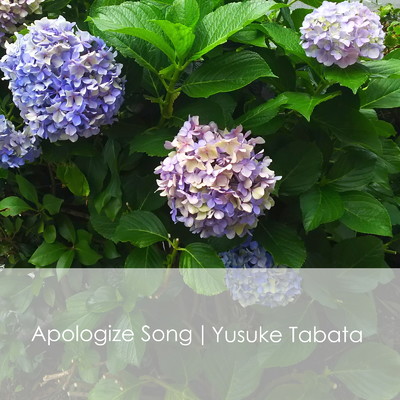 シングル/Apologize Song/田畑 祐介