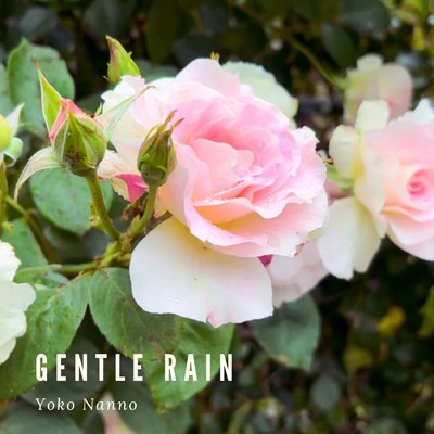 優しい雨/Yoko Nanno