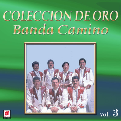 Coleccion De Oro, Vol. 3/Banda Camino