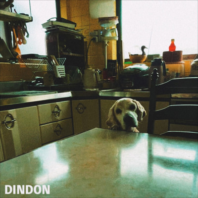 シングル/DINDON/NEE