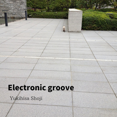 Electronic groove/Yukihisa Shoji